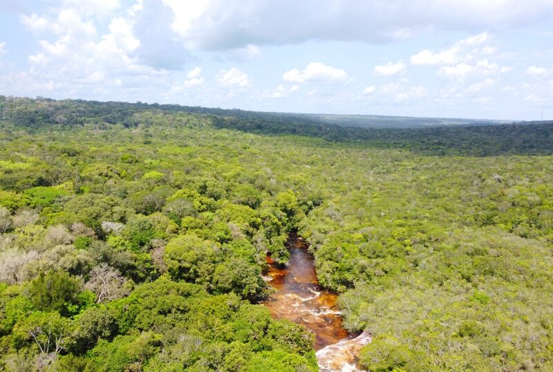 Brasile, Presidente Figuereido