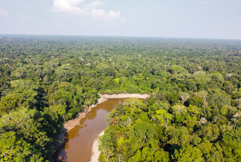 Peru', Riserva Pacaya Samiria