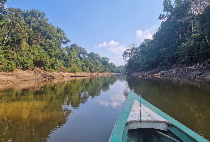 Peru', Riserva Pacaya Samiria