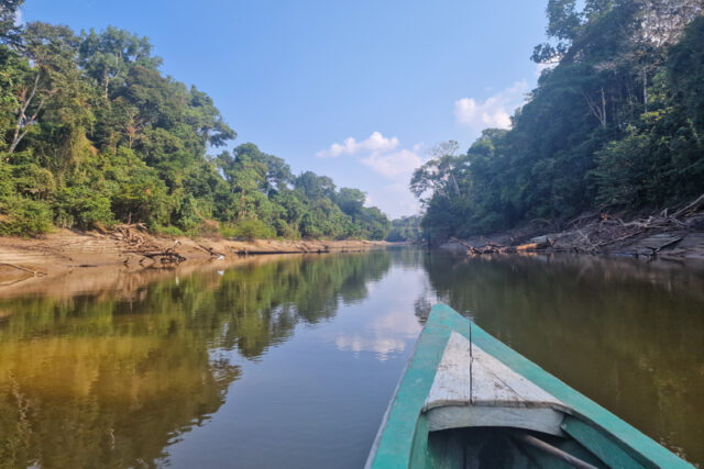 La Riserva di Pacaya Samiria: il Cuore dell’Amazzonia Peruviana