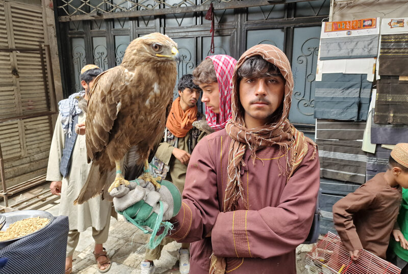 Afghanistan, Kabul