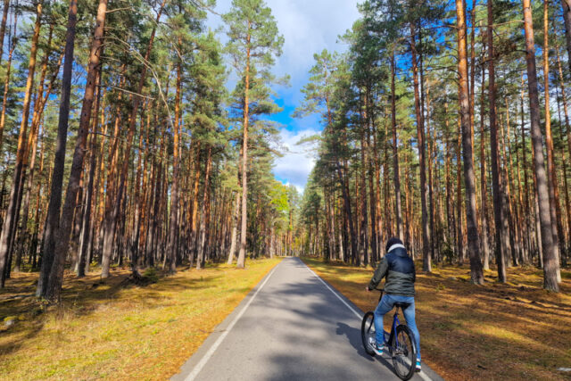 Parco Belovezhskaya Pushcha, gioiello UNESCO della Bielorussia