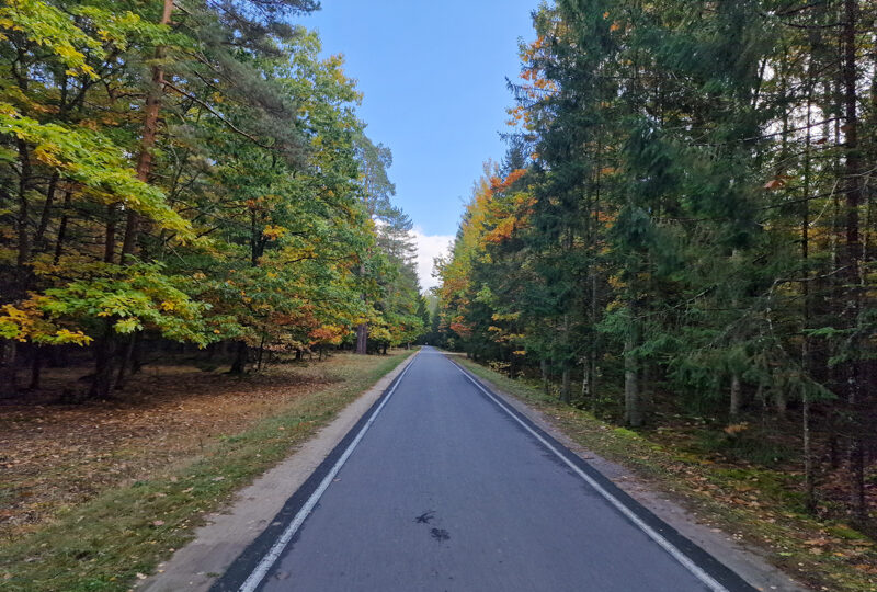 Bielorussia,Belovezhskaya Pushcha