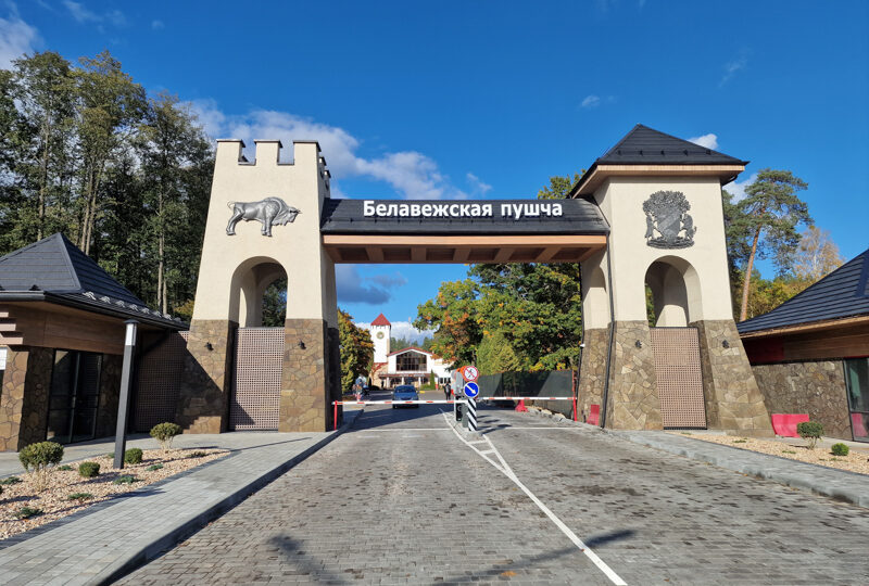 Bielorussia,Belovezhskaya Pushcha