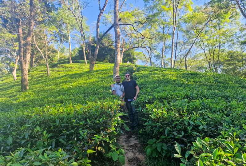 Bangladesh, Sreemangal