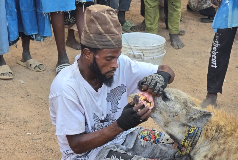 Nigeria, Kano