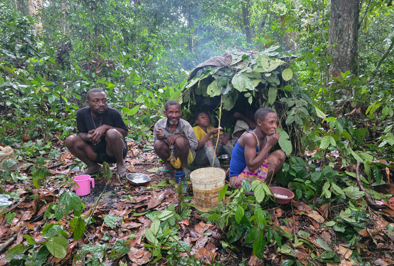 Repubblica Centrafricana, Dzanga Sangha