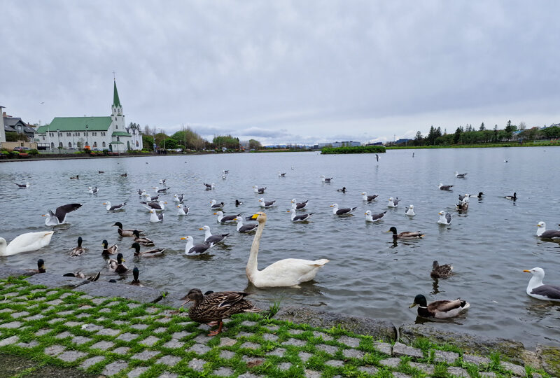 Islanda, Reykjavik
