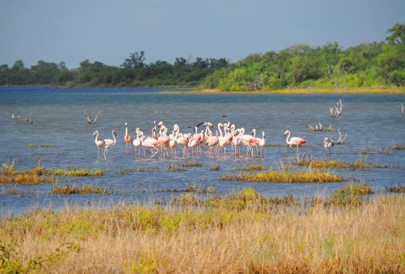 Paraguay, Chaco