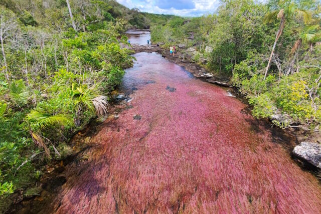 Caño Cristales: il Fiume Arcobaleno della Colombia