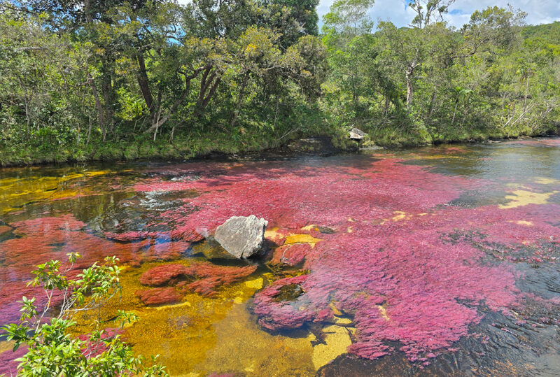 Colombia, Cano Cristales
