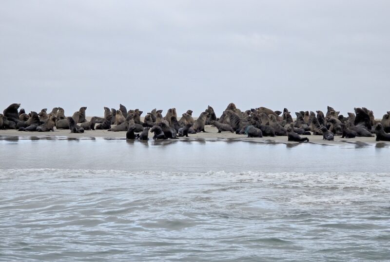 Angola, Parco nazionale Iona