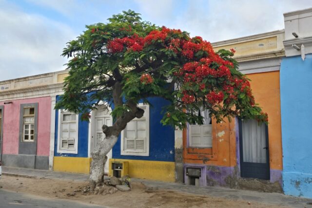 Mocamedes (Namibe): cosa vedere, spiagge, deserto e consigli di viaggio