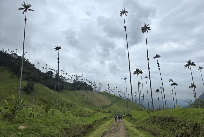 Colombia, Valle del Cocora