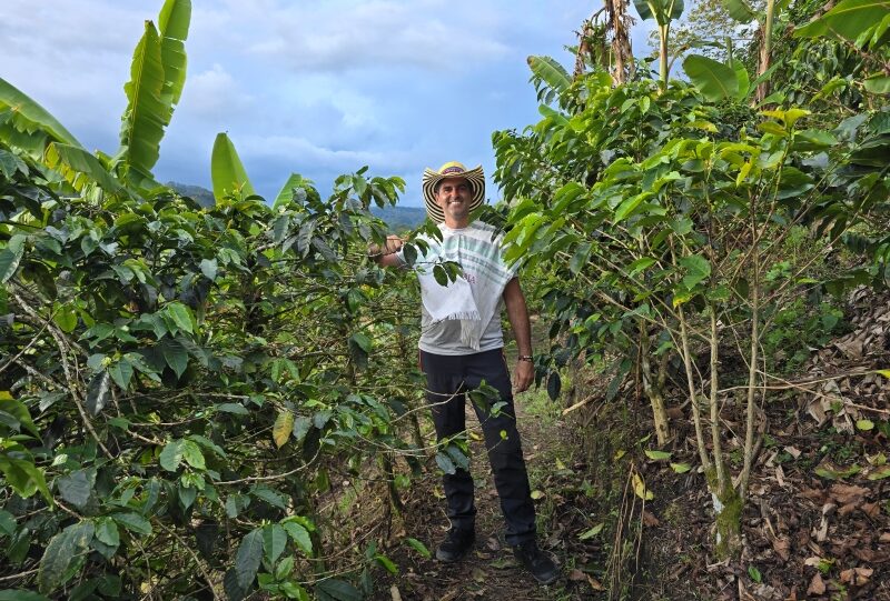 Colombia, finca del caffè