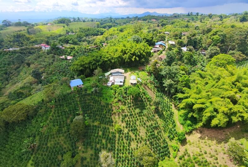 Colombia, finca del caffè