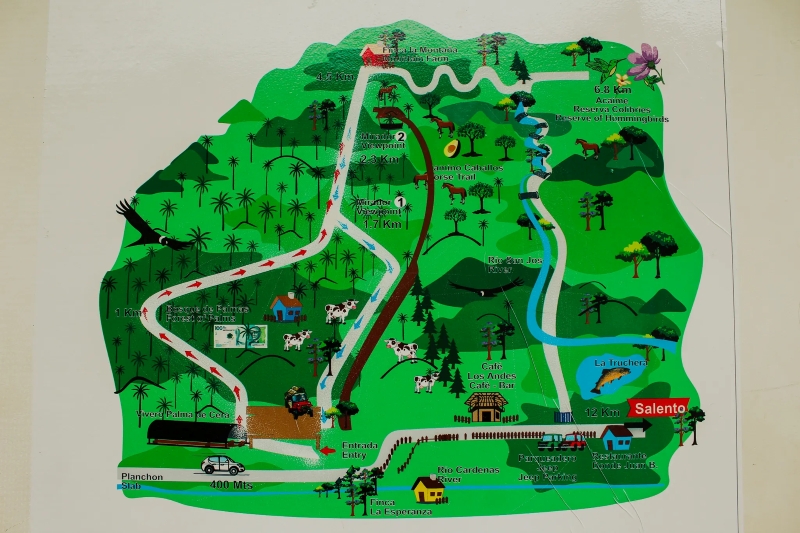 Colombia, Valle del Cocora