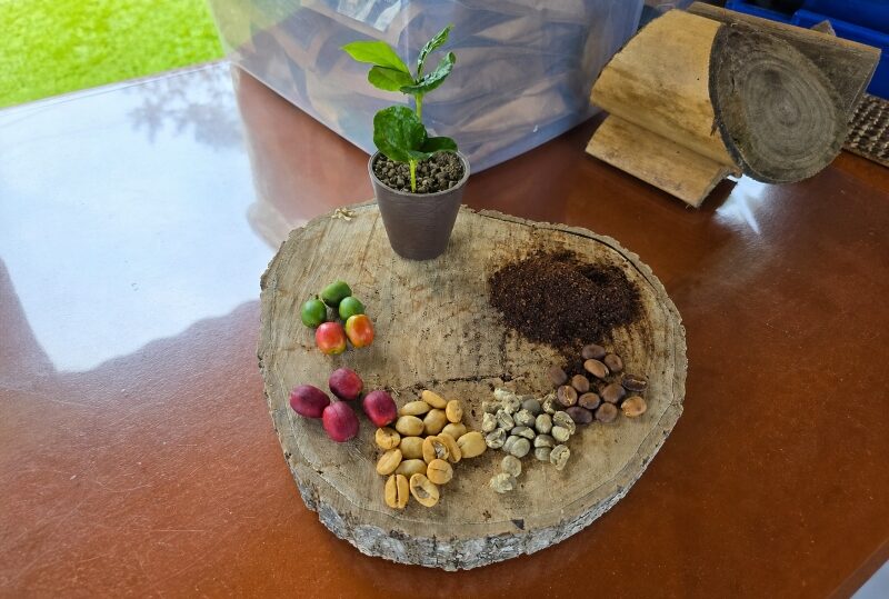 Colombia, finca del caffè