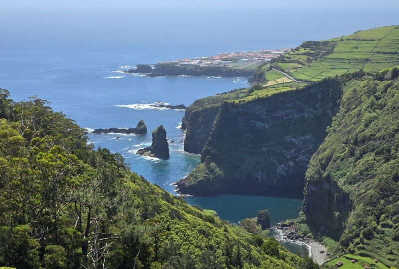 Azzorre, Flores