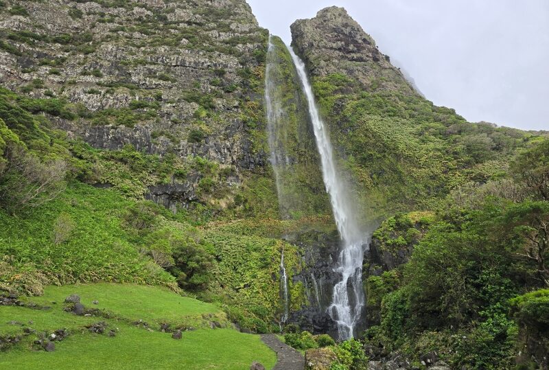 Azzorre, Flores