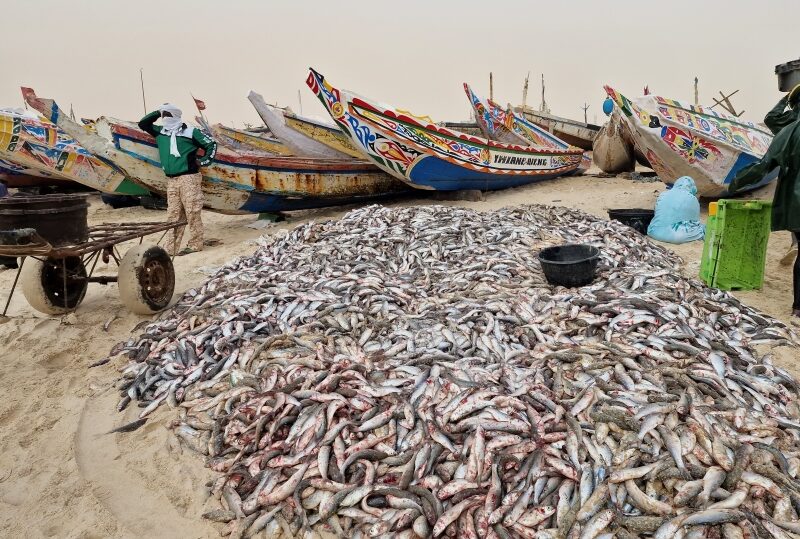 Mauritania, Nouakchott